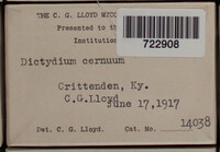 Image Associated With the Occurence